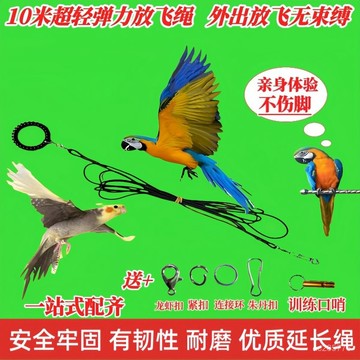 【超輕彈力繩】鸚鵡鳥用超輕戶外優質放飛繩牽引延加長繩虎皮牡丹玄鳳遛鳥繩加粗