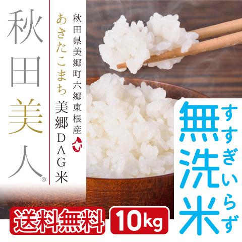 無洗米 10kg お米 あきたこまち 送料無料 秋田県産 一等米 秋田美人 令和３年産 うるち米 精白米 ごはん