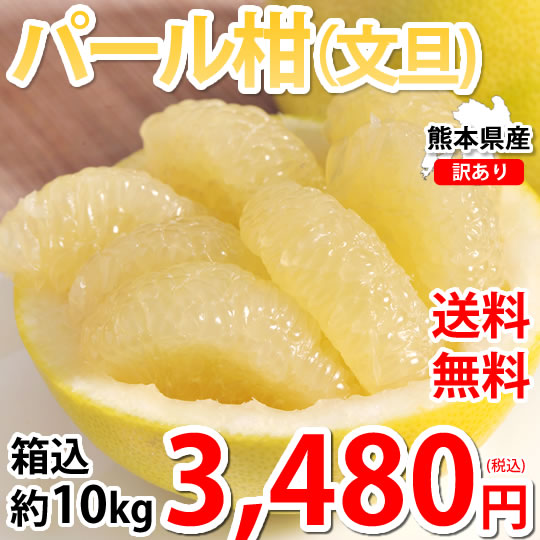 パール柑 訳あり 10kg 箱込 (内容量9kg 不良果補償分500g) 文旦 みかん