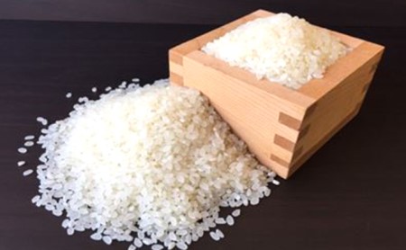 特別栽培米「彩のきずな」20kg（5kg×4回のお届け）
