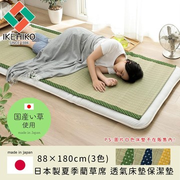 【日本池彥IKEHIKO】日本製天然無染藺草除臭涼蓆墊子-88×180cm(4色)《好拾物》