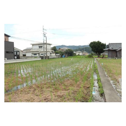 ふるさと納税 徳島県 吉野川市 自然農野菜セット（冬春野菜セット）