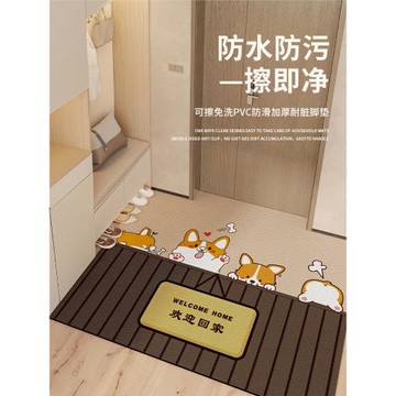 進戶入戶門地墊門口進門腳墊pvc皮革門墊可擦洗防滑墊子家用地毯