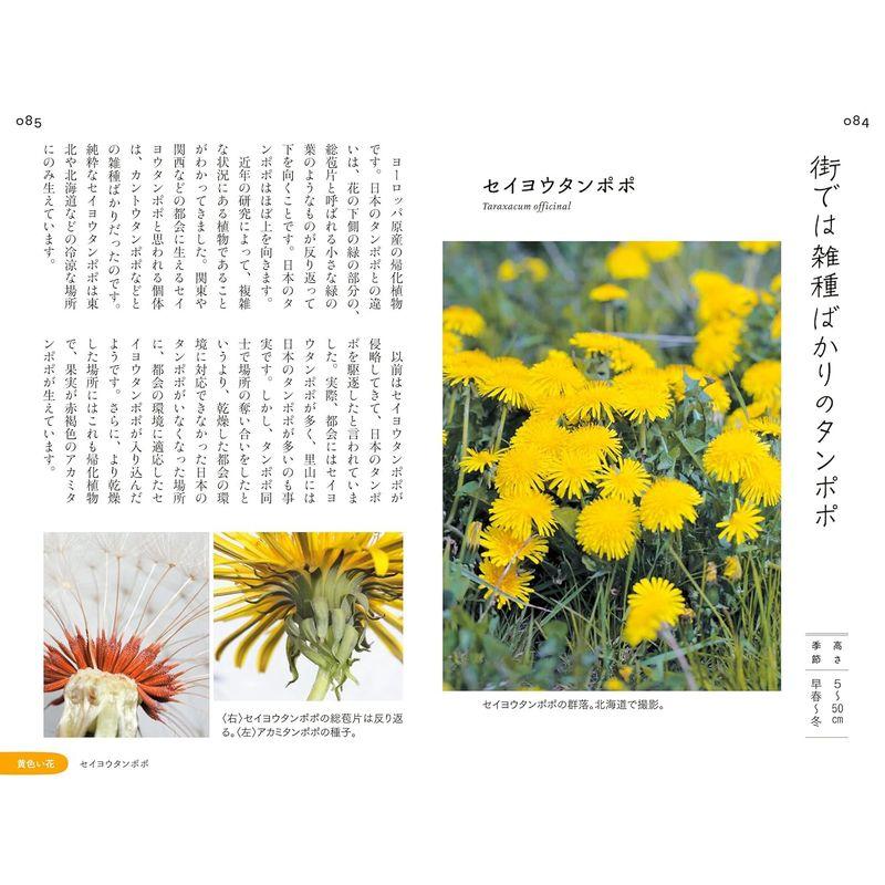 散歩道の図鑑 あした出会える雑草の花100