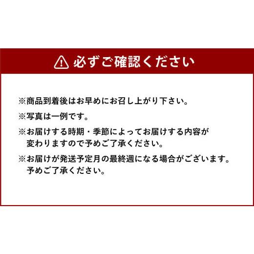 ふるさと納税 宮崎県 えびの市 特別栽培 季節のお野菜セット 12品 おまかせ