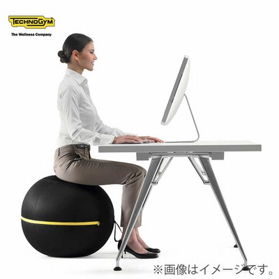 Technogym／テクノジム WELLNESS BALL ACTIVE SITTING