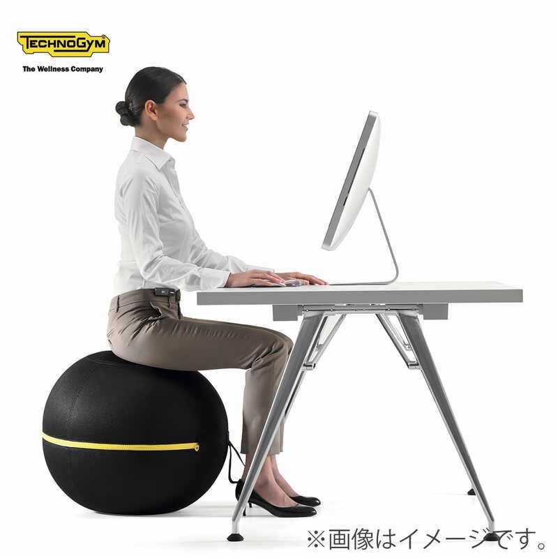 Technogym／テクノジム WELLNESS BALL ACTIVE SITTING （55cm） | LINE