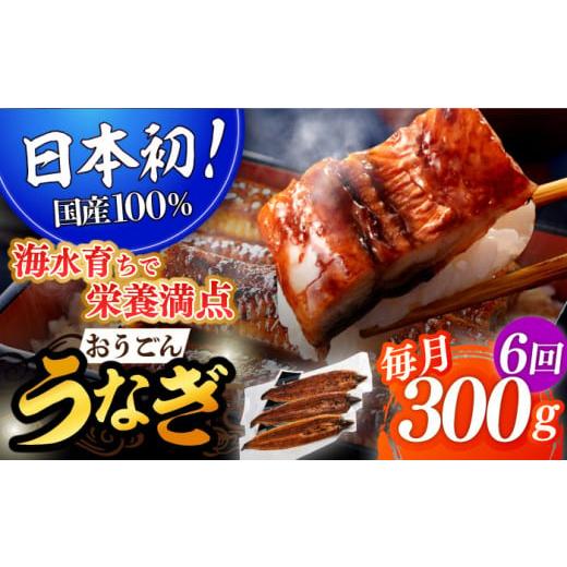 ふるさと納税 長崎県 平戸市 ＜全6回定期便＞長崎県産おうごん うなぎ 計1.8kg（約300g×6回）平戸市 ／ 松永水産 うなぎ 鰻 ウナギ 土…