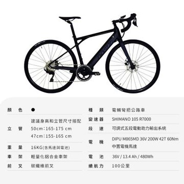 【DOSUN】電動輔助自行車 RT100 43CM 油壓碟 香檳金 送安裝(車麗屋)