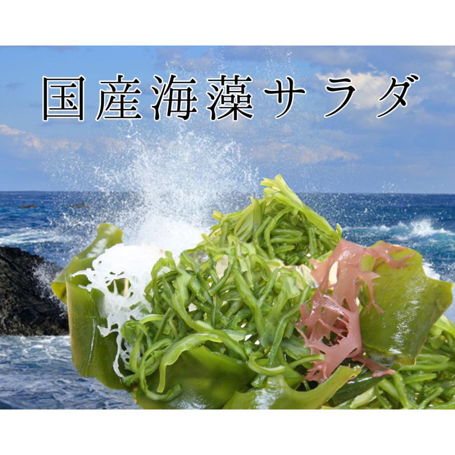 海藻サラダ 国産 50g 2袋セット メール便 送料無料 三陸産わかめ 茎わかめ わかめ 赤とさか 白とさか 国産 ダイエット 無添加 一人暮らし 時短 調理 食品 惣菜