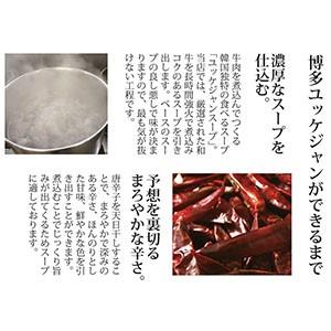 博多 ユッケジャン ハーフ 220ｇ 約1人前  ／ 和牛と野菜たっぷり  旨み辛さが絶妙スープ