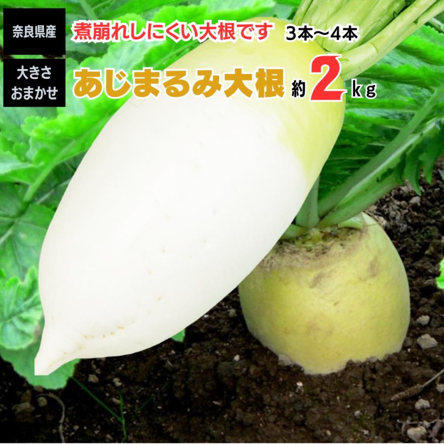 大根 だいこん あじまるみ 大根 ３本〜４本 約２ｋｇ 奈良県産