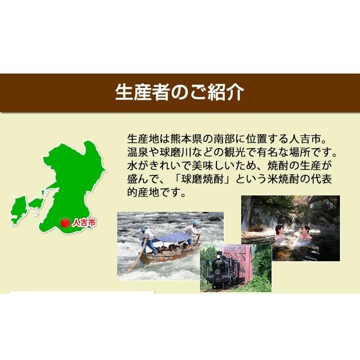 希少な国産 熊本県人吉産 乾きくらげ 送料無料 ポイント消化 キクラゲ 1袋20g x