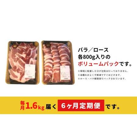 ふるさと納税 「くんじゃん豚」焼肉セット1.6kg（バラ・ロース）総量9.6kg 沖縄県国頭村