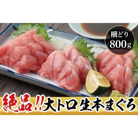 ふるさと納税 絶品！生本マグロ　大トロ 800g（柵どり） 福井県越前市