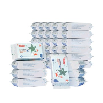 【Nuby】 海洋奇遇迷你HOLD濕巾6抽x160包/箱｜厚 強 柔 珍珠紋 手口可用