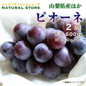 [最短順次発送]  ピオーネ 2房 約600g 約300g x 山梨県産ほか 果実 夏ギフト お取り寄せ 夏ギフト お中元 御中元