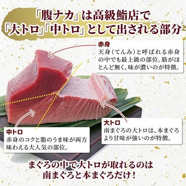 天然南マグロ大トロ付きブロック500g 冷凍 ミナミマグロ インドマグロ インド鮪 まぐろ 鮪 刺身 大トロ 中トロ 赤身 天身 送料無料