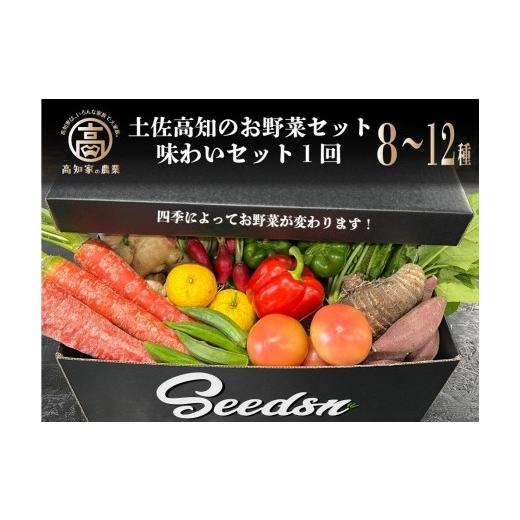 ふるさと納税 高知県 香美市 新鮮野菜BOX(味わいセット）8〜12種