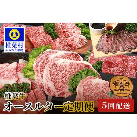 ふるさと納税 総重量3.5kg！椎葉牛オールスター定期便≪ローストビーフ・切り落とし・焼き肉・スライス・ステーキ≫ 宮崎県椎葉村