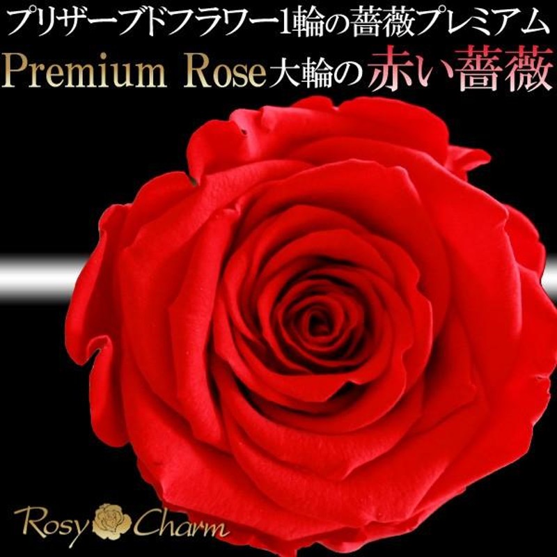 赤い薔薇 1本 プレミアムローズ プリザーブドフラワー プロポーズ 結婚