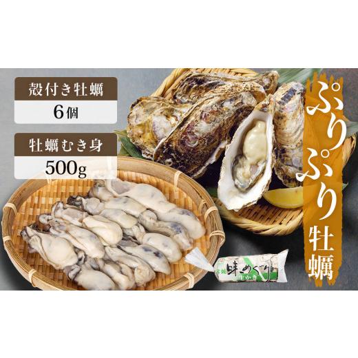 ふるさと納税 宮城県 石巻市 牡蠣むき身500gと殻付き牡蠣6個のお楽しみセット