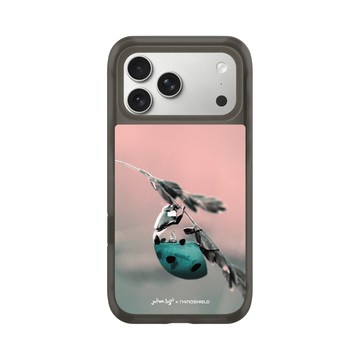 iPhone 17 Pro Max AirX 本質黑 - Julien Tabet - 瓢蟲