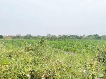 麻豆樂悠悠農地(精選物件，強力推薦)｜台南市麻豆區北勢寮