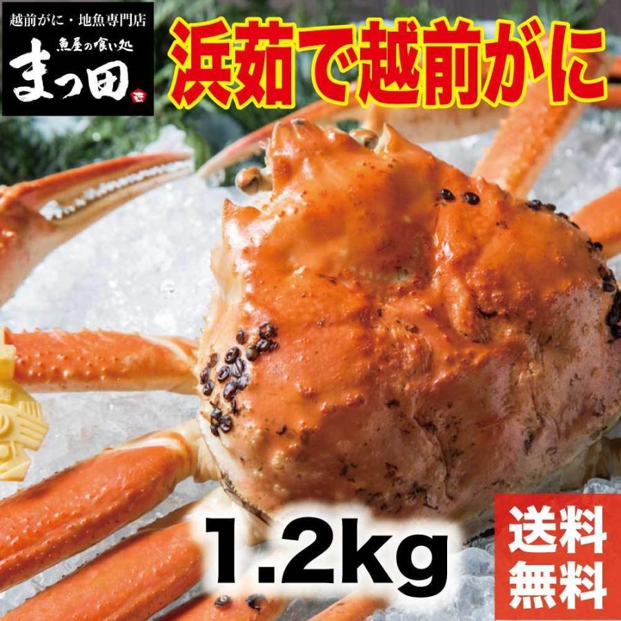 茹で越前がに 1.2kg 1パイ 冷蔵 便 越前ガニ かに カニ 蟹 ズワ イ ズワイガニ お取り寄せ 福井  かに カニ 蟹