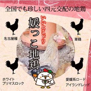 ふるさと納税 媛っこ地鶏 一羽セット もも むね 手羽先 手羽元 鶏肉 全国からあげ 鶏肉 グランプリ 鶏肉 5年連続 鶏肉 金賞 鶏肉 お肉博士 鶏肉 .. 愛媛県松山市