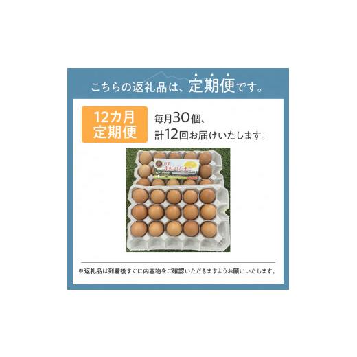 ふるさと納税 山梨県 北杜市 ☆彡12か月定期便☆彡　北杜のたまご（30個入）