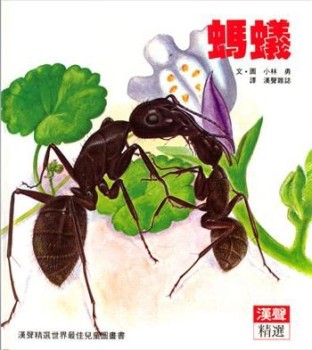 螞蟻[二手書_良好]