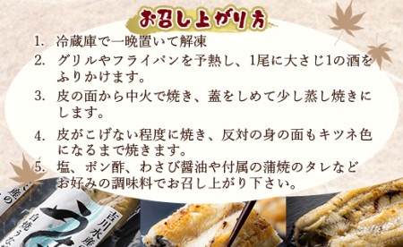 吉川水産 高知県産うなぎの白焼特大サイズ(180～210g)×1尾 タレ付き 自宅用エコ包装 yw-0042