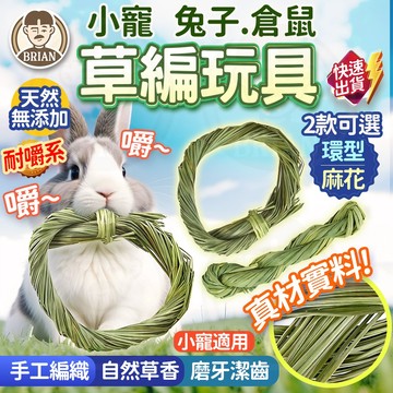 天然草編玩具【布萊恩👨🏻隔日到貨】麻花捲造型水草編織玩具 水草編織玩具 兔兔磨牙手編水草玩具 鼠兔磨牙用品 鼠兔磨牙玩具