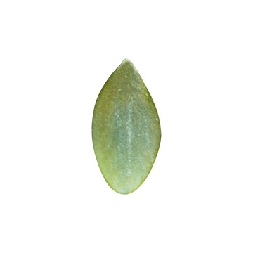 堅強堅果 無調味南瓜子X2包