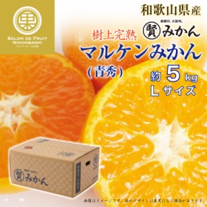 [予約 12月1日-12月20日の納品] マル賢青秀 約 5kg Lサイズ 樹上完熟 マルケン和歌山県産 マルケン まるけん 上級品 みかん 冬ギフト お