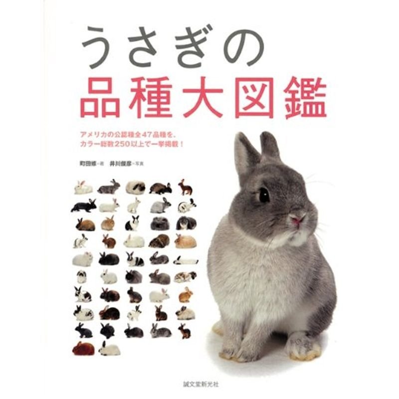 うさぎの品種大図鑑