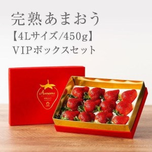 ★希少4Lサイズ 450g ★赤のVIPボックスに入った宝石のような「完熟あまおう」！