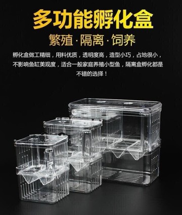 快速出貨 魚缸 隔離盒 孔雀魚 繁殖盒 熱帶魚 小魚 孵化盒 大小號 幼魚 孵化 器 產卵房  露天