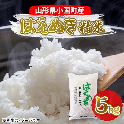 ふるさと納税 小国町 (令和5年産)山形県小国町産　はえぬき5kg