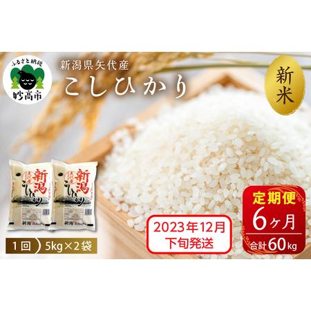 ふるさと納税 新潟県矢代産コシヒカリ10kg×6回（計60kg）※沖縄県・離島配送不可 新潟県妙高市