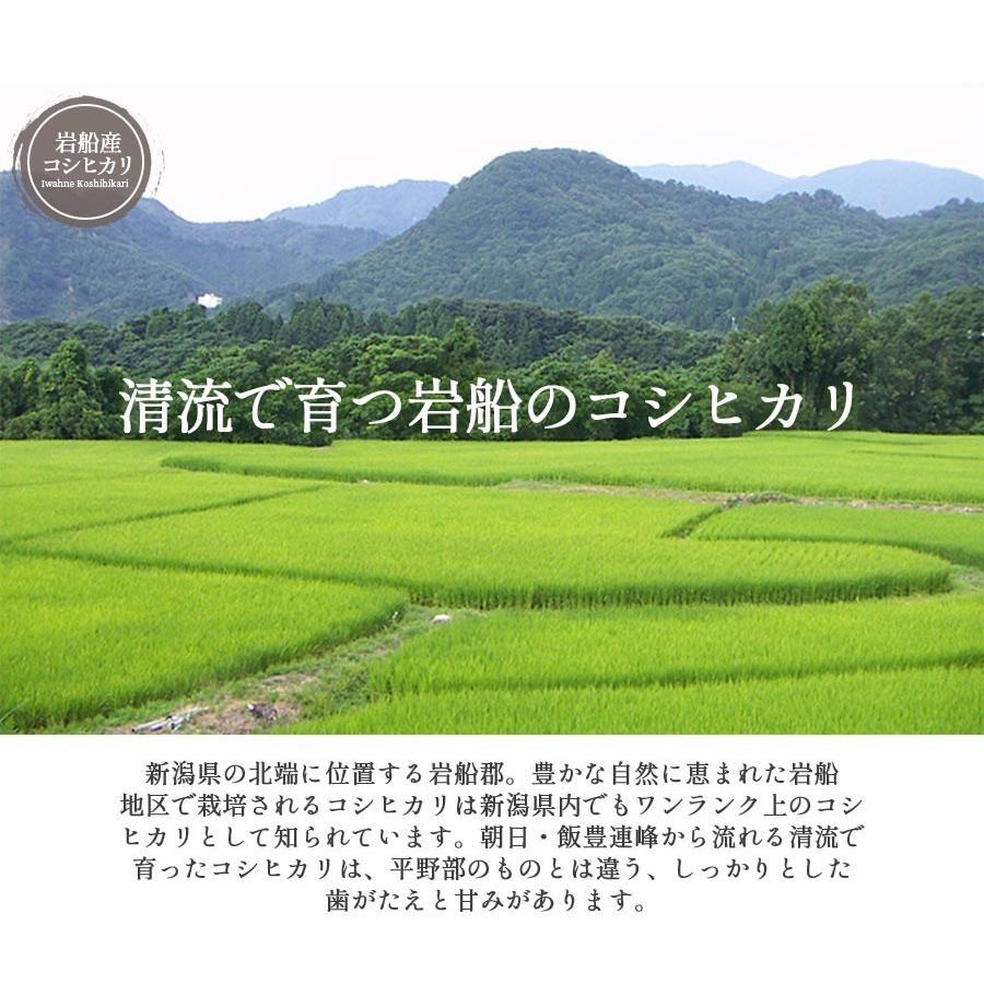 お米 15kg 白米 送料無料 新米 令和5年産 新潟県 岩船産 コシヒカリ 産地直送 米 国産 国内産 15キロ ブランド米 ギフト 父の日 母の日 敬老の日