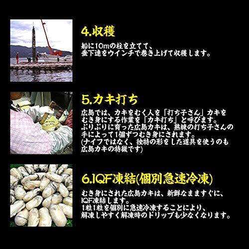 ますよね カキ 牡蠣 ジャンボ広島かき 2kg (解凍後 約850g×2袋) 約60粒 約10人前 加熱用