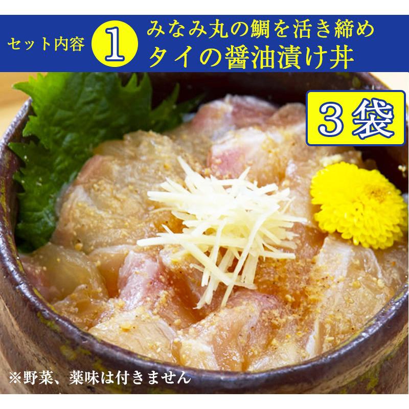 土佐の海鮮丼4種12袋セット（鯛、サバ、カンパチ、ブリ 各3袋）ぶっかけ漬け丼 宇佐もん工房 お歳暮 のし対応可