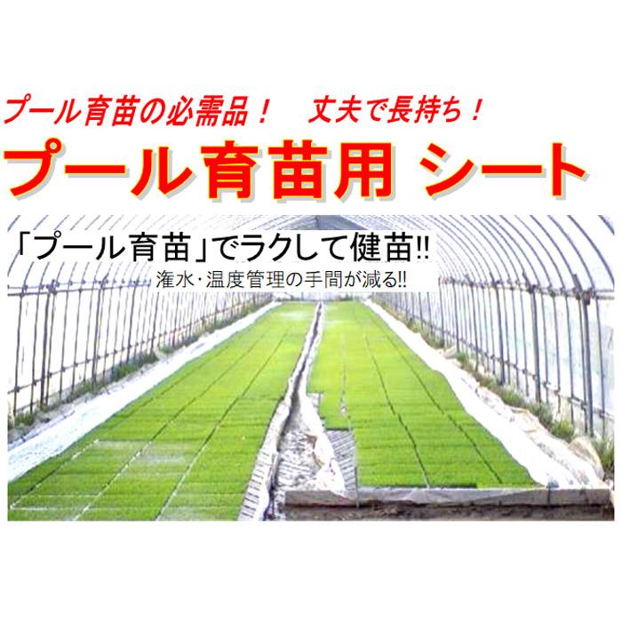 丈夫で長持ち 育苗用 プールシート 厚さ0.26mm×幅 300cm ×長さ 20m プール育苗 シート オK 代引不可