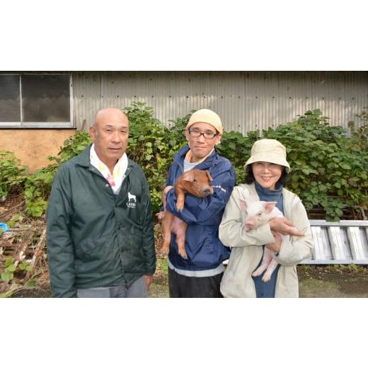 ふるさと納税 高知県 大月町 力豚ロース　しゃぶしゃぶ2.2kg