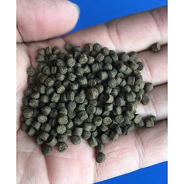 <絕色 高蛋白蠅蛆 沈底異形飼料>魚飼料 異形飼料 鼠魚飼料