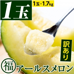 ＜訳あり＞マル福の高級アールスメロン(1玉・1.7kg)