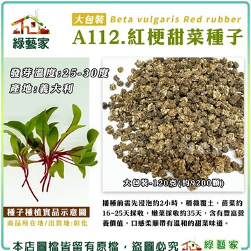 綠藝家【00A112】大包裝.紅梗甜菜種子120克(約9200顆) 葉菜種子 蔬菜種子 苗菜