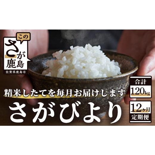 ふるさと納税 佐賀県 鹿島市 V-25佐賀県鹿島市産さがびより 白米10kg定期便（１２か月お届け）